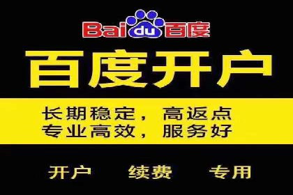 SEO与SEM优化案例：打造行业领先品牌